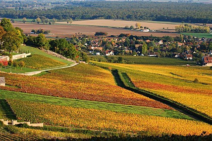 Givry G2 : La Chaume Sacrée