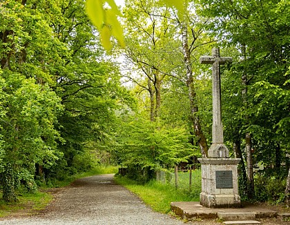 Sentier de la Lisière - Les Brouzils