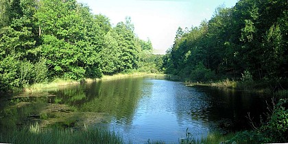 Circuit St Antoine Bouzey