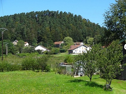 N°16 : the forfeleuse loop