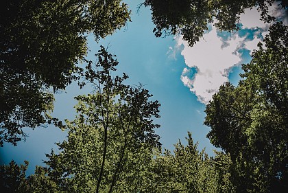 N°13 - the durbion water sources