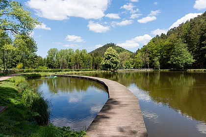 Rando n°8 - Les roches de Pointhaie