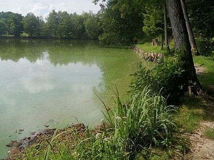 ETANG LALLEMAND ROUTE