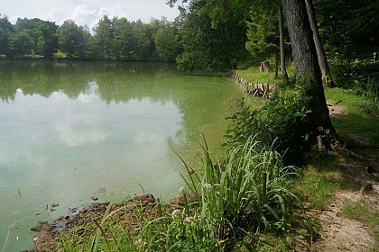 Circuit étang Lallemand