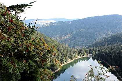 Trail circuit n°4 la roche du lac depuis le haut des bluches