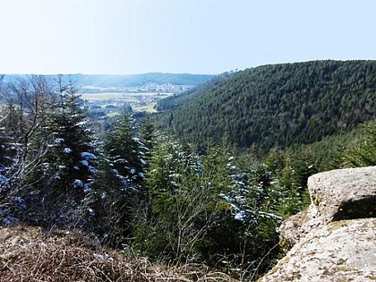 N°29 - THE HEIGHTS OF DOMFAING