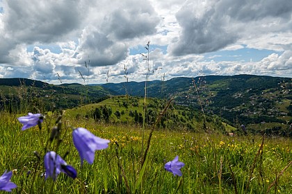 Trail circuit n°6 la crête de moyenmont à La Bresse