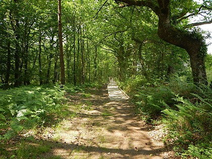 Circuit du Pont Bugat Surzur