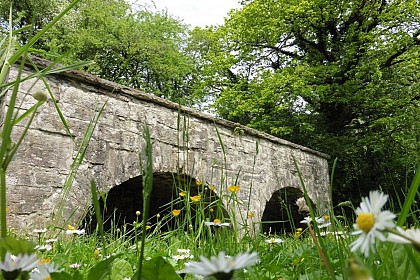 Le sentier nature de Dompierre-sur-Mont