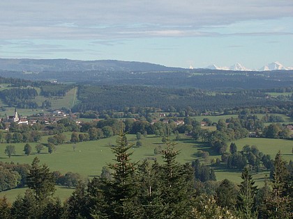 Balade au Faux Verger