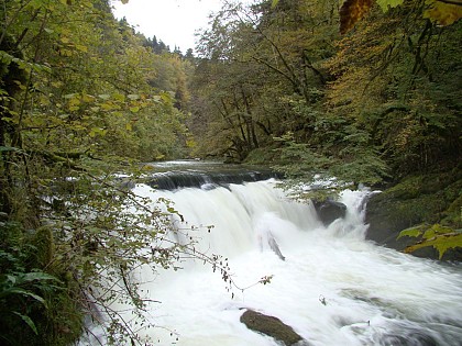Le ruisseau du Pissoux, boucle 45