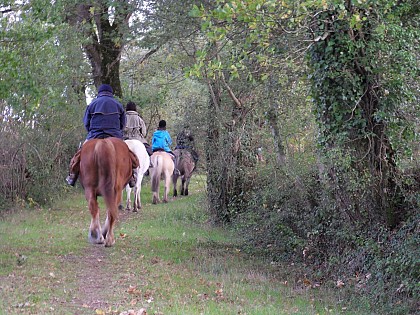 Circuit de Pembulzo Surzur