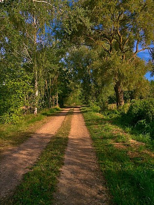 GR501 DE ROMBAS À PLAPPEVILLE