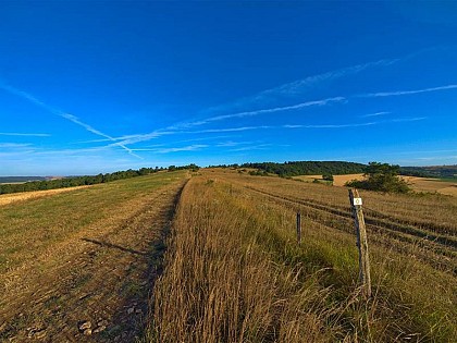 GR501 DE PLAPPEVILLE À BOUXIERES-SOUS-FROIDMONT