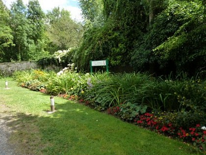 Balade à Villers-Allerand