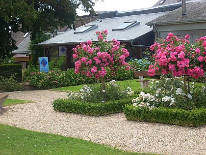 Les Grands Genêts - La Feuillie