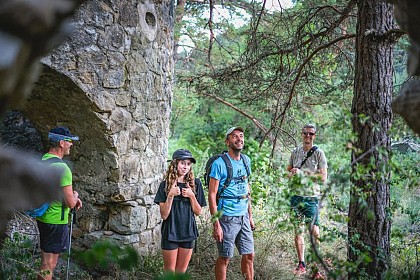 Route forestière de Brante