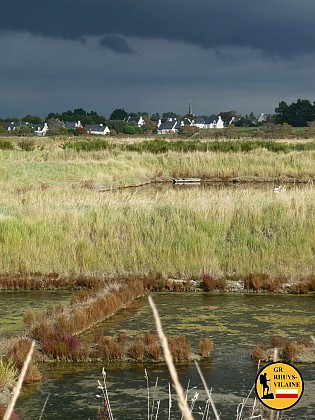GR Rhuys-Vilaine (Officiel): étape 22 Sarzeau Truscat à St Armel Le Pusmen