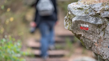 Loop hike of Larchant