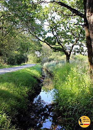 GR Rhuys-Vilaine (Officiel): étape 14c St Armel / Le Tour du Parc