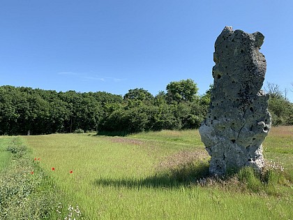 Sur les traces du Néolithique