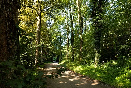 La Transfamenne ® à pied