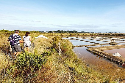 Saint Armel : Le Marais Salant de Lasné (officiel)
