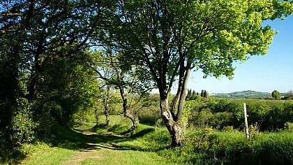 Montgaillard sur Save "La métairie du pont"