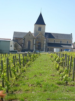 Balade fleurie du Mesnil-sur-Oger