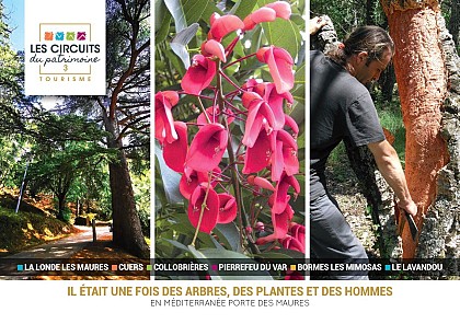 Circuit 3 : Il était une fois des Arbres des Plantes et des Hommes