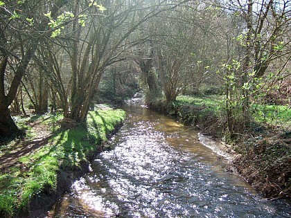 Circuit de la Bouloterie, Caden