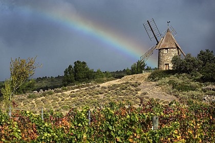 D'AIR ET DE PIERRES