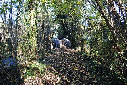 Circuit des Ardouzes et du Betz