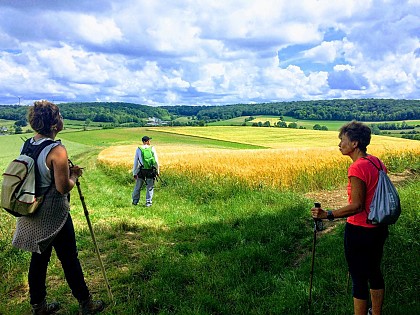 Randonnée n°3 : Le Mont de Beaussault
