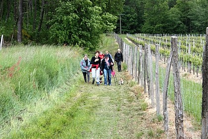 Boucle du Talley à Montignac