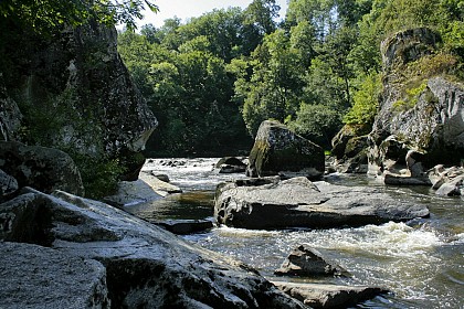 Le bocage de la Vallée de la Gartempe
