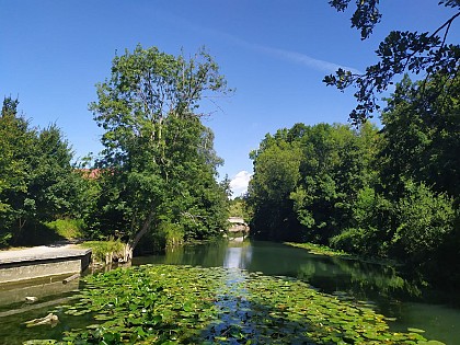 De l'Yerres à la Seine