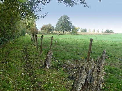 Fernelmont's rural ride