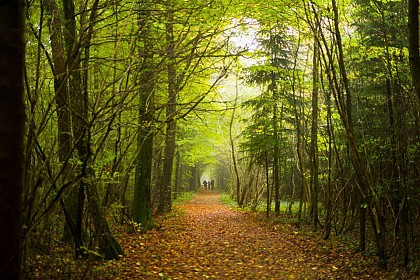 Sentier de Pays de Hauts de Meuse