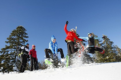 Le plateau de la Coche
