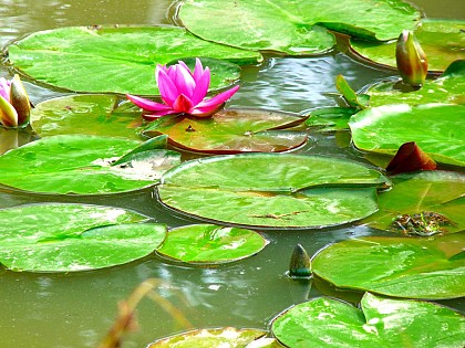 Circuit Saint-Maurice