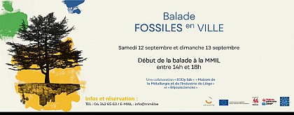 Fossiles en Ville à Liège : un parcours exceptionnel pour les Journées du Patrimoine 2020