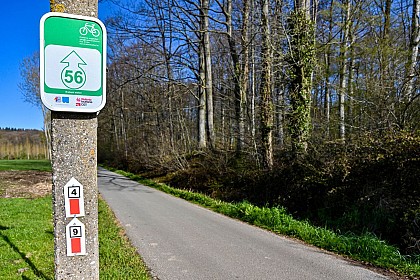 Circuit vélo à travers Braine-le-Château, le bois de Hal et Wauthier-Braine