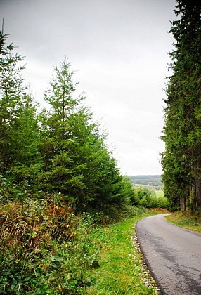 17 Promenade du Moulin Manteau - balise bleue