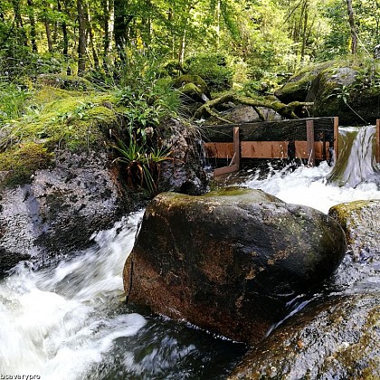 The devil's gully discovery trail