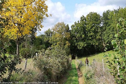 The circuit from the P.O.C to the dolmen