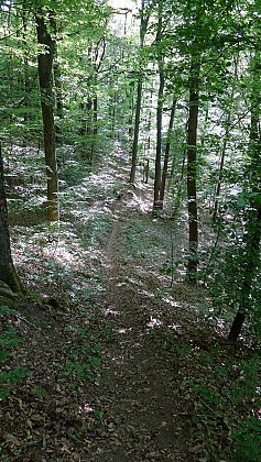 L’Affût des Canons