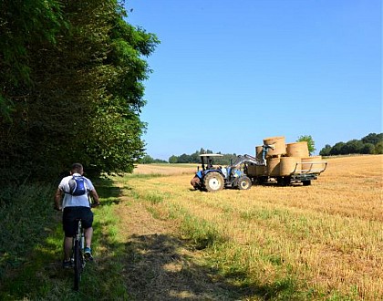 Saint Pierre des Bois n° 14