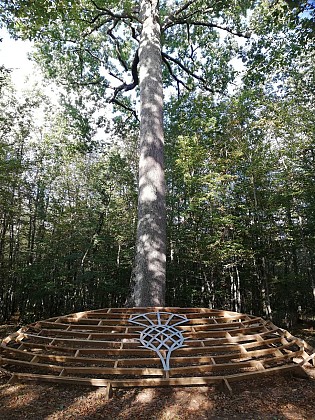 Parcours Tronçais VTT/VTC "Retour aux Racines"