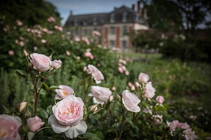 Route de la Rose circuit sud